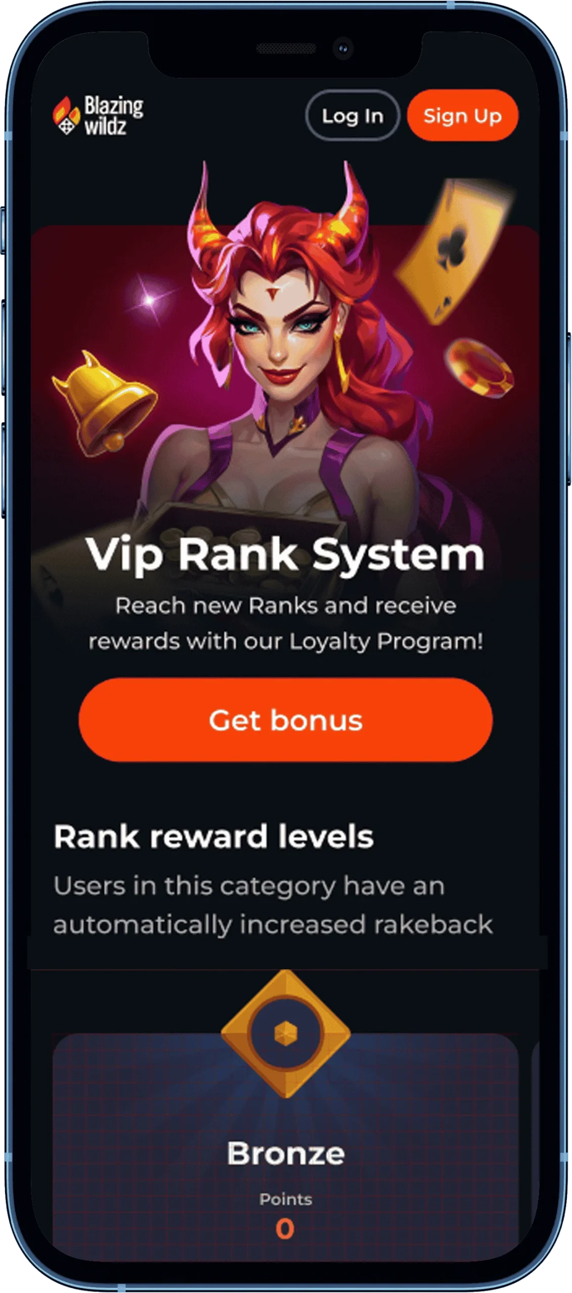 Blazingwildz Application